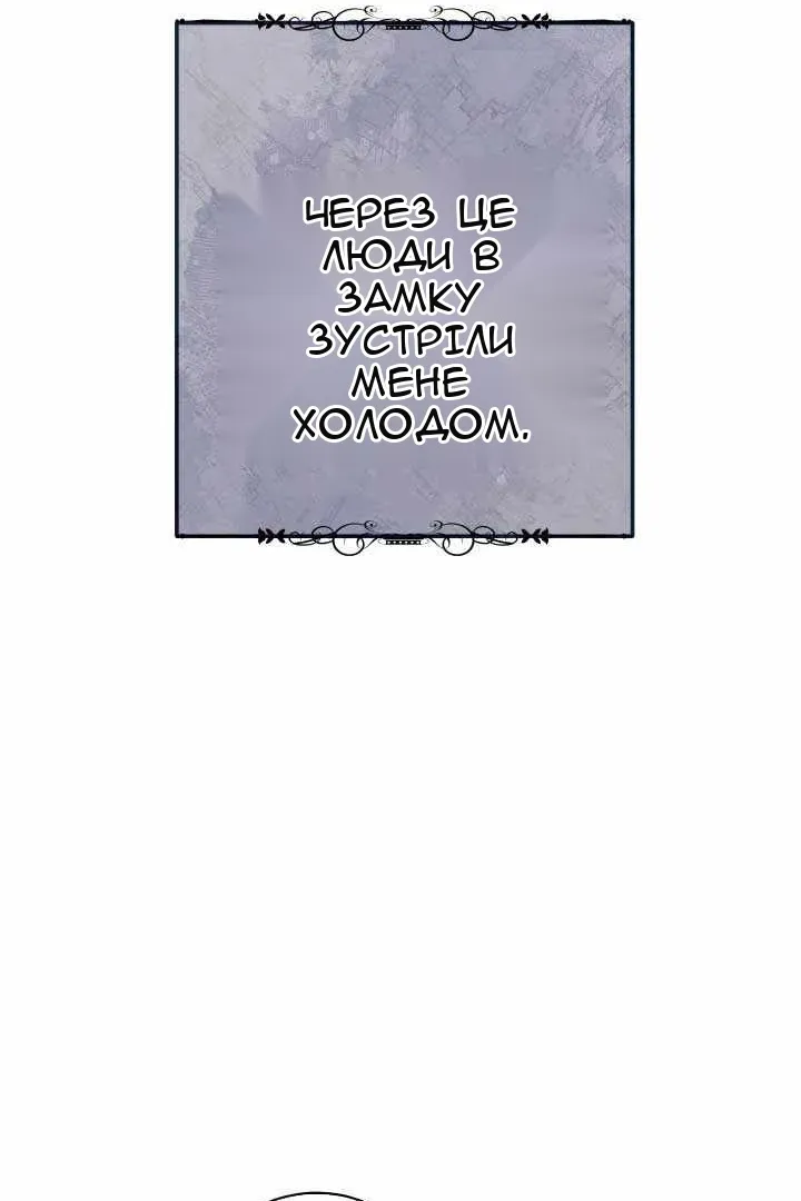 Сторінка 104