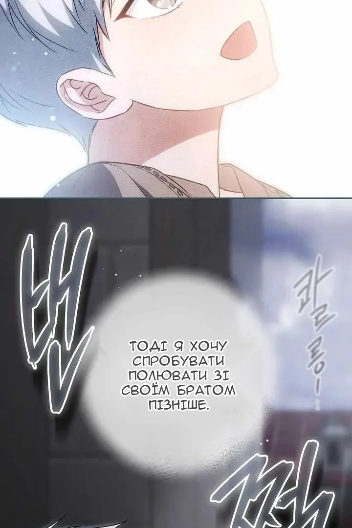 Сторінка 17