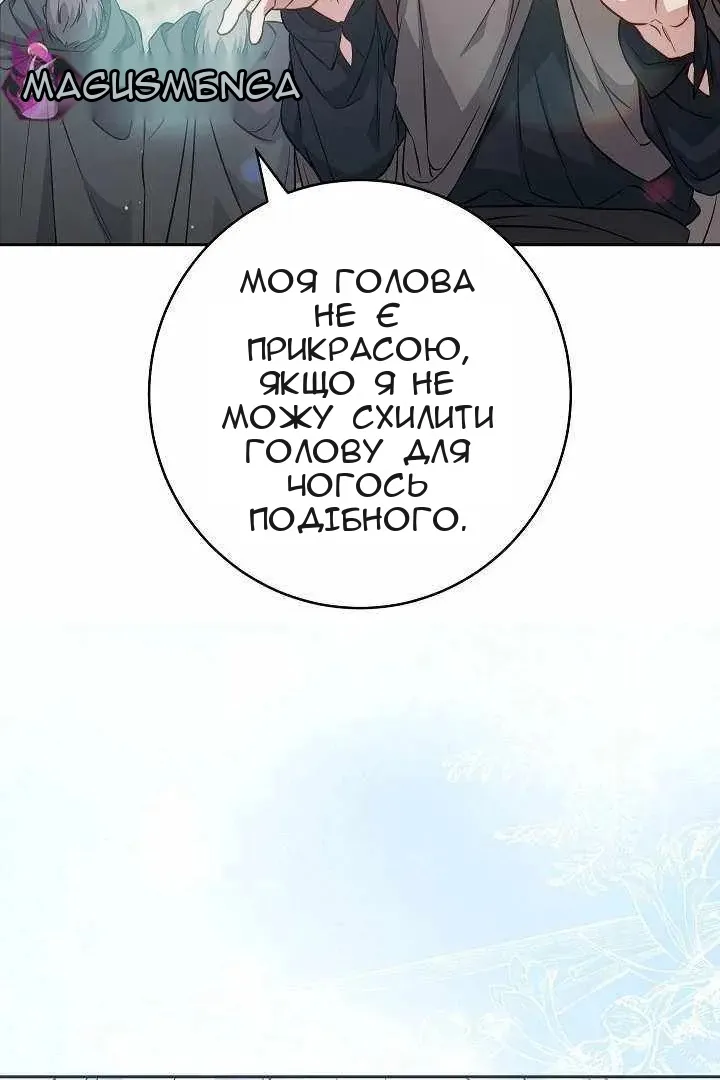 Сторінка 17