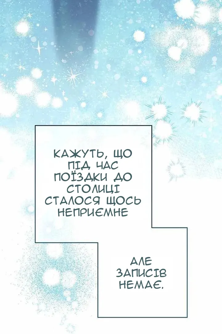 Сторінка 29