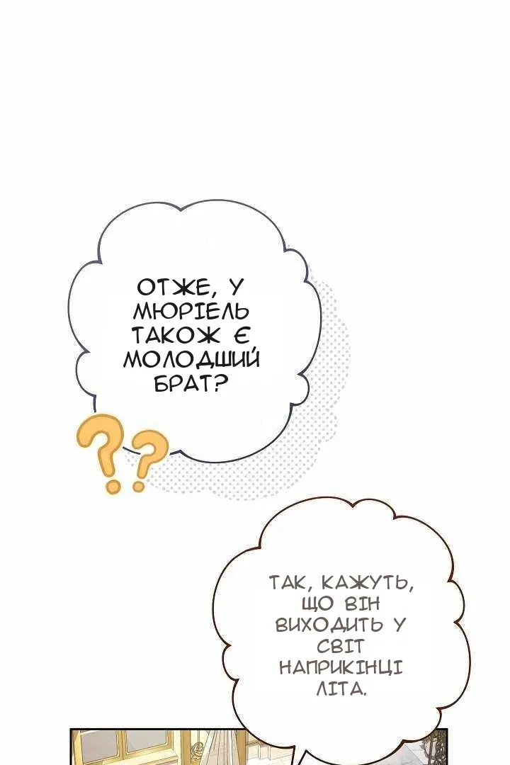 Сторінка 17