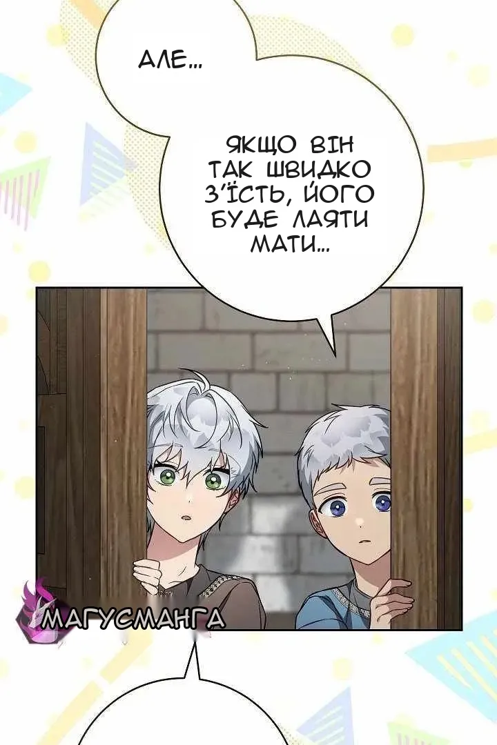 Сторінка 17
