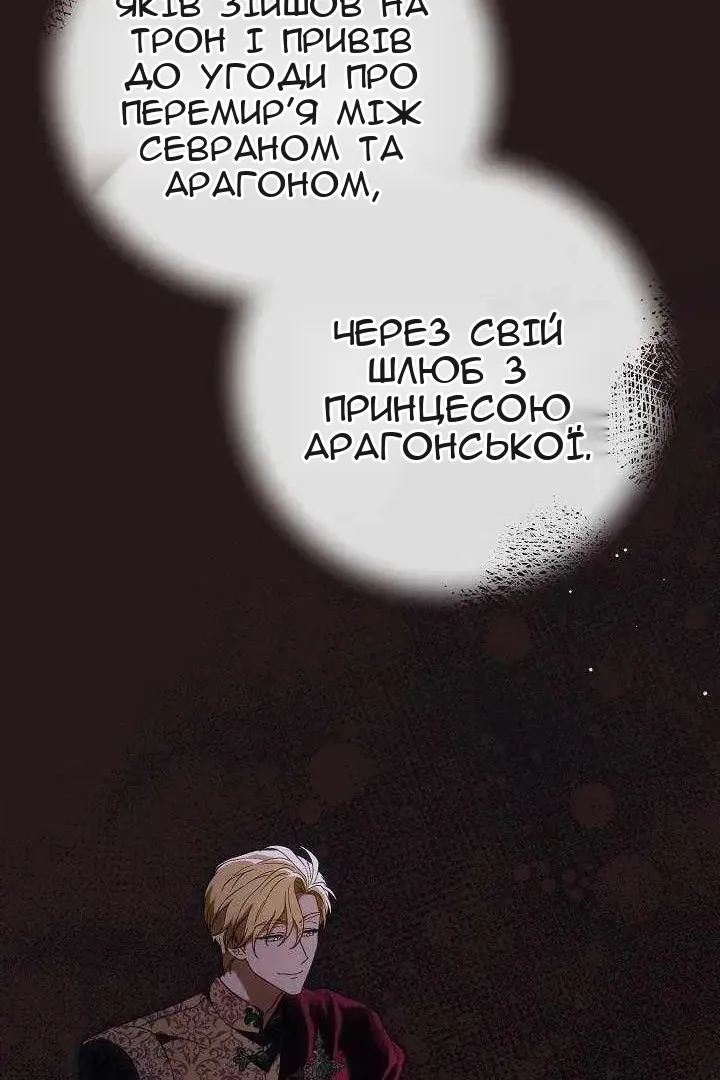 Сторінка 41