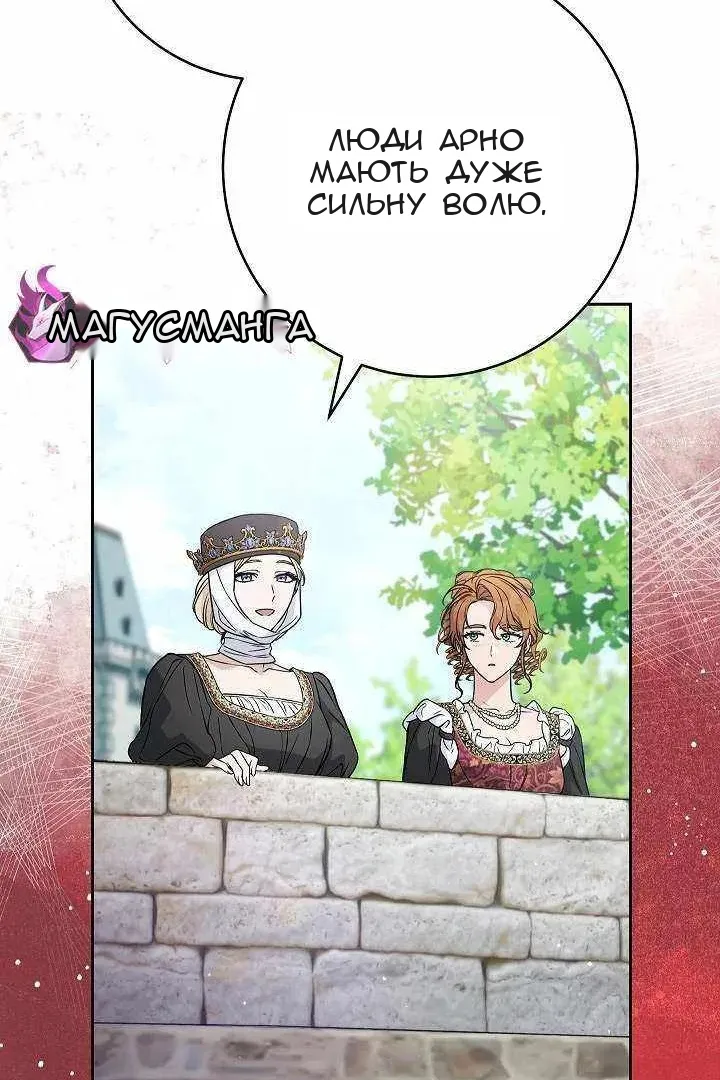 Сторінка 31