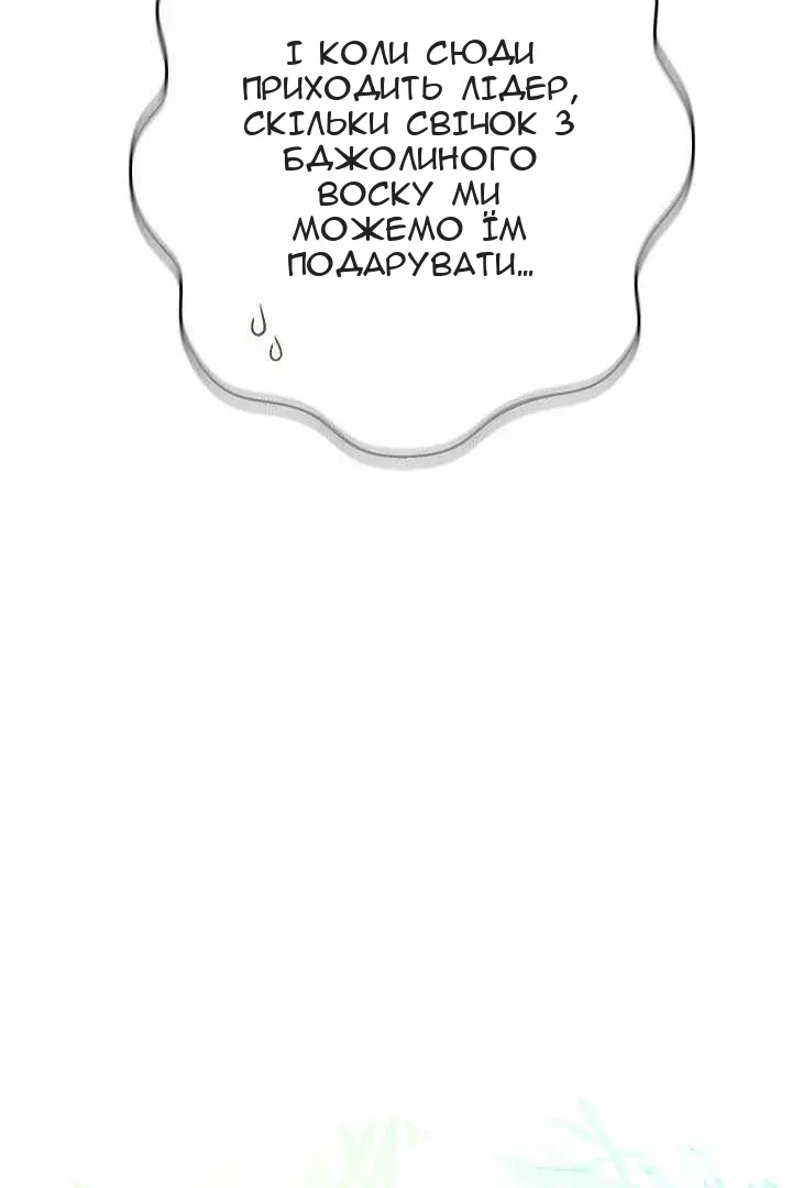 Сторінка 15