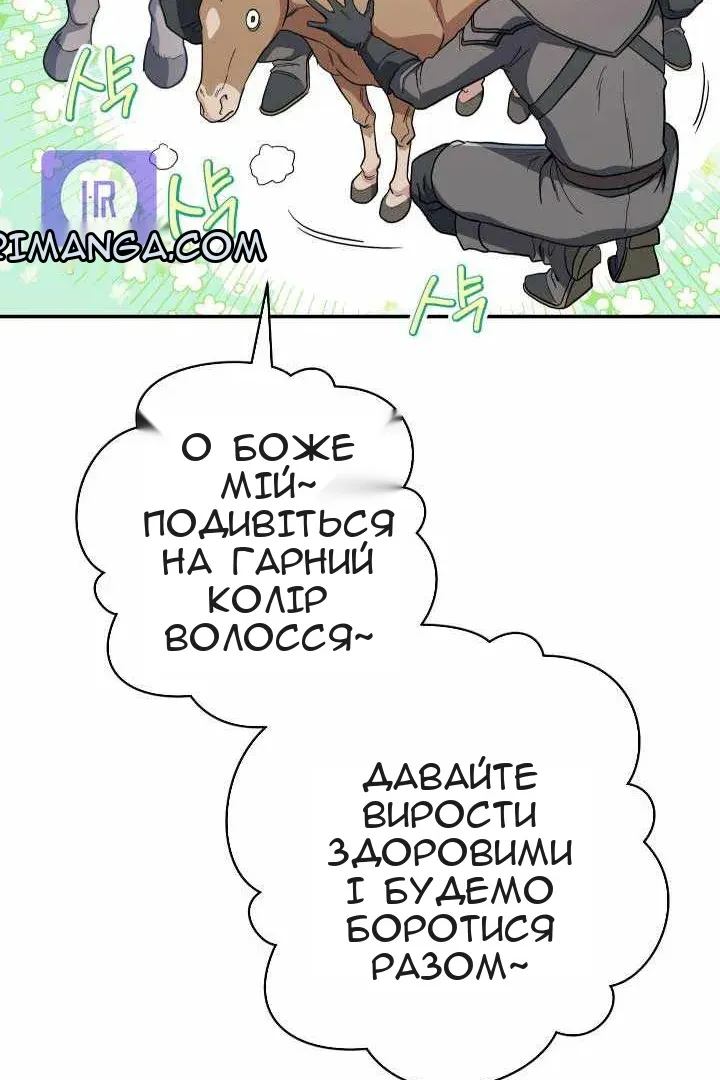 Сторінка 23