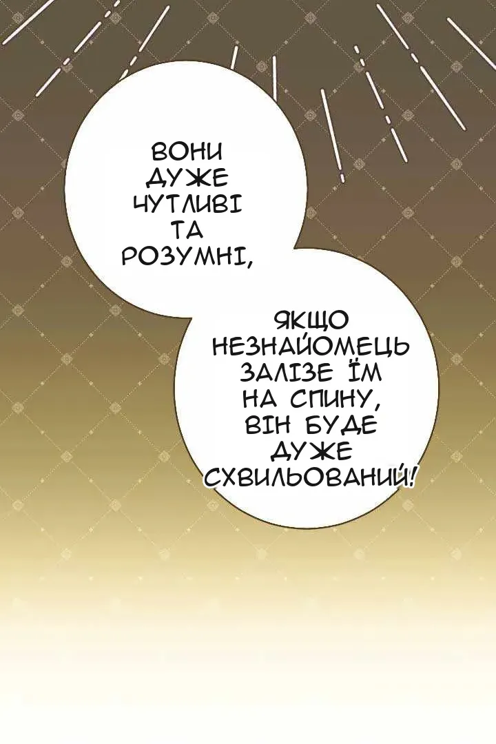 Сторінка 71