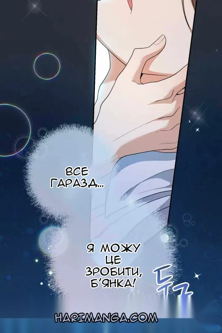 Сторінка 17