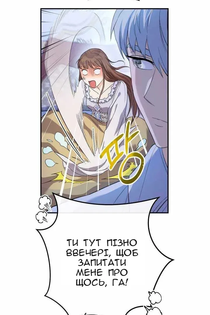 Сторінка 31