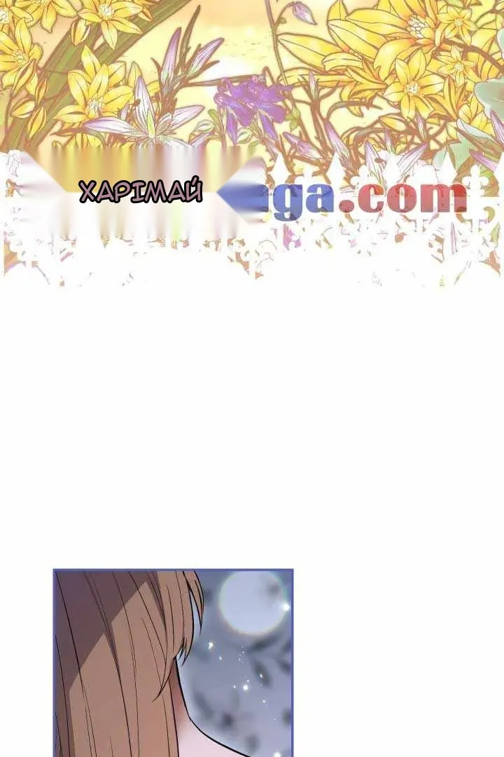 Сторінка 13