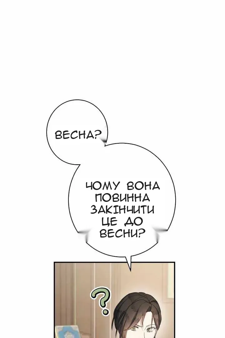 Сторінка 41
