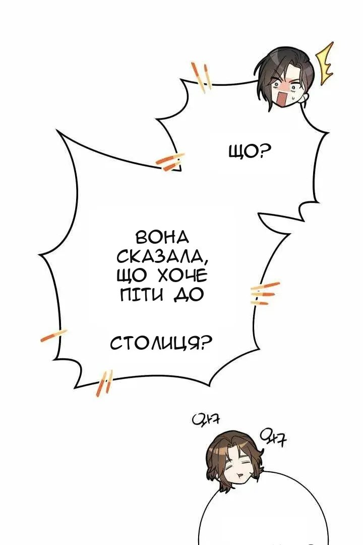 Сторінка 43