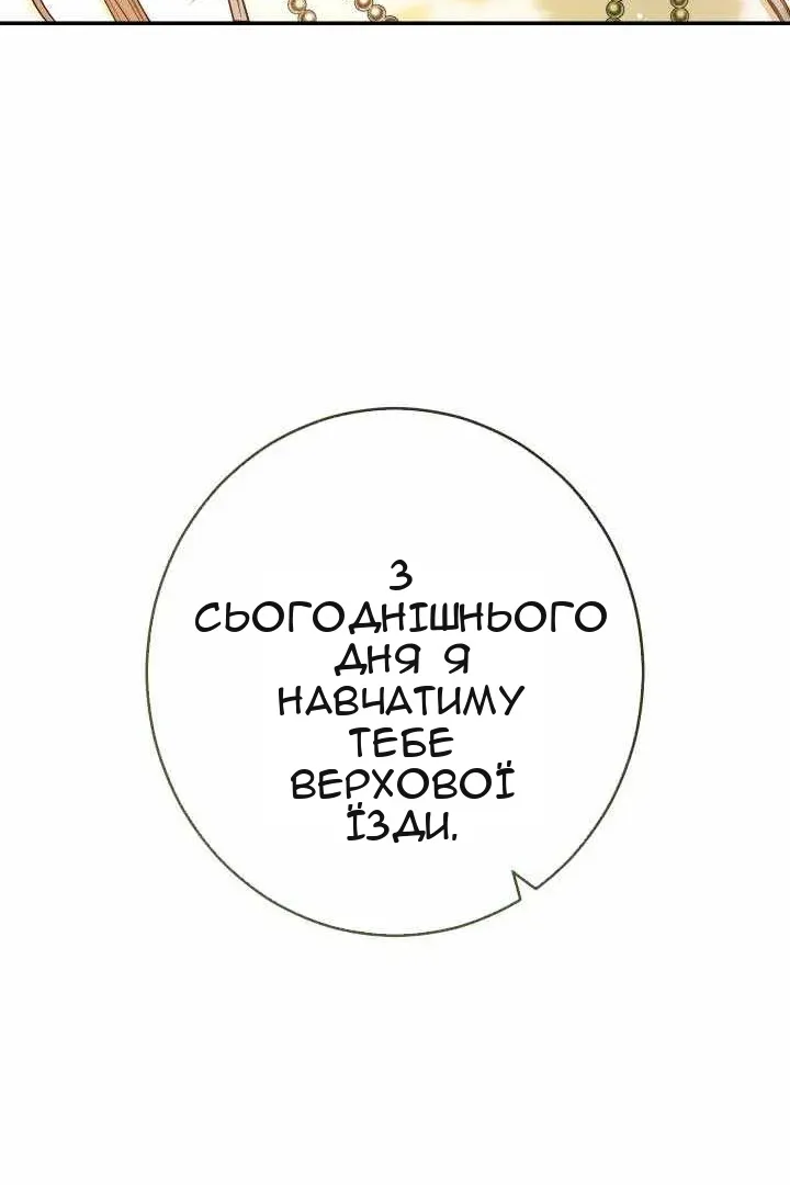 Сторінка 17