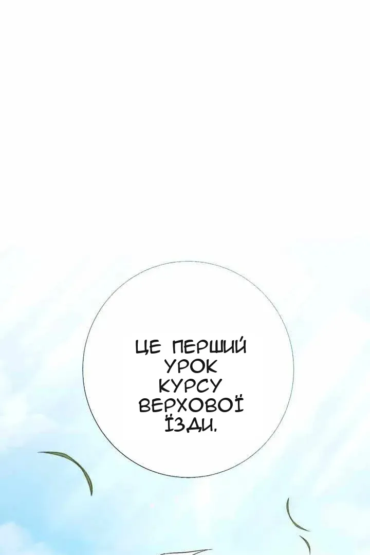 Сторінка 147