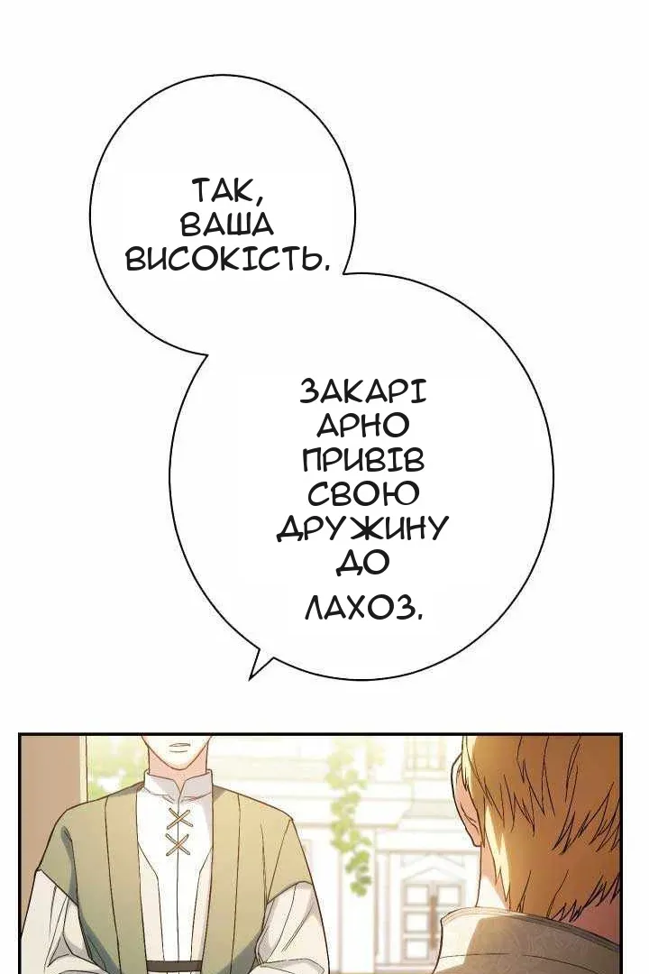 Сторінка 171