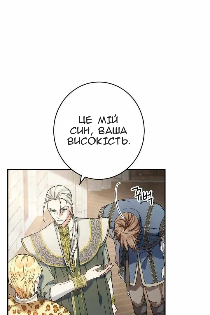 Сторінка 17