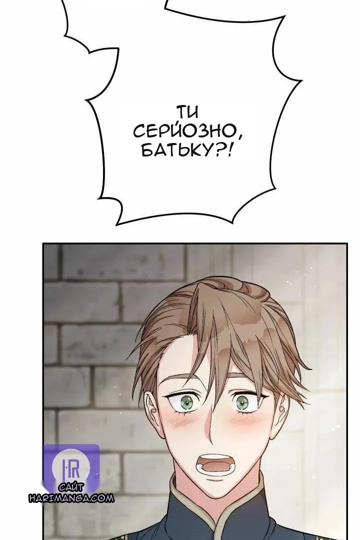 Сторінка 41
