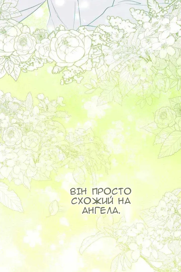 Сторінка 117