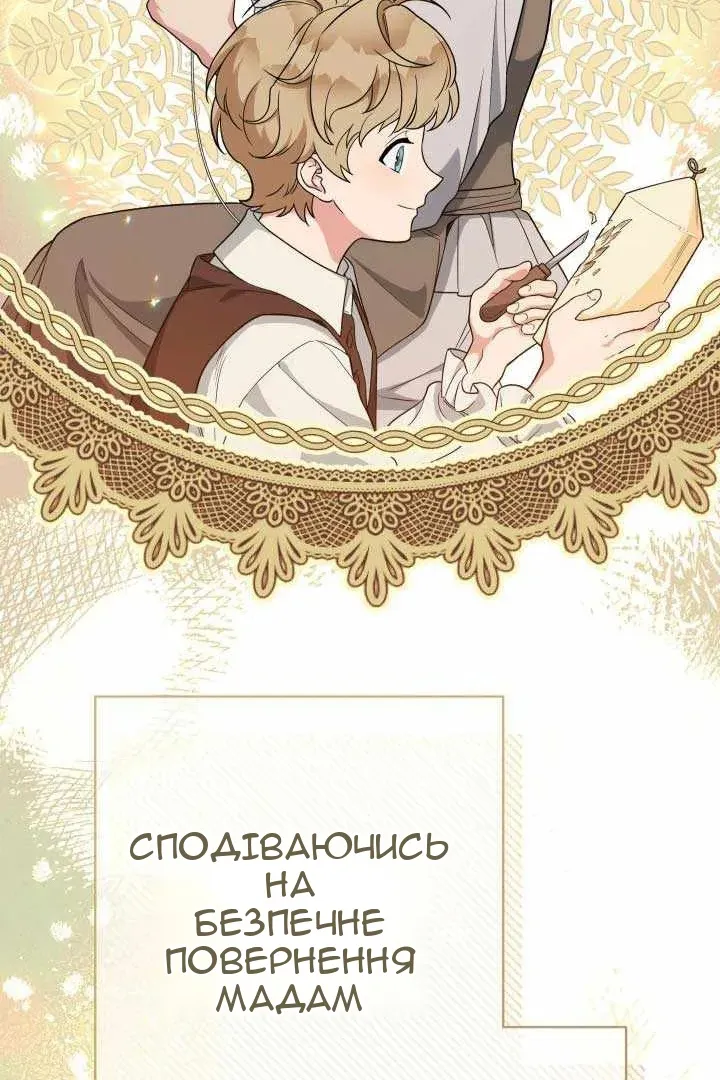 Сторінка 41