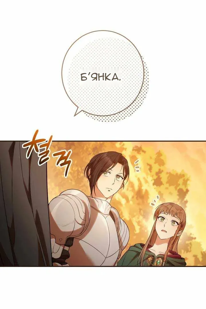 Сторінка 111