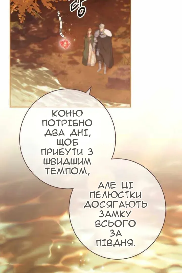Сторінка 7
