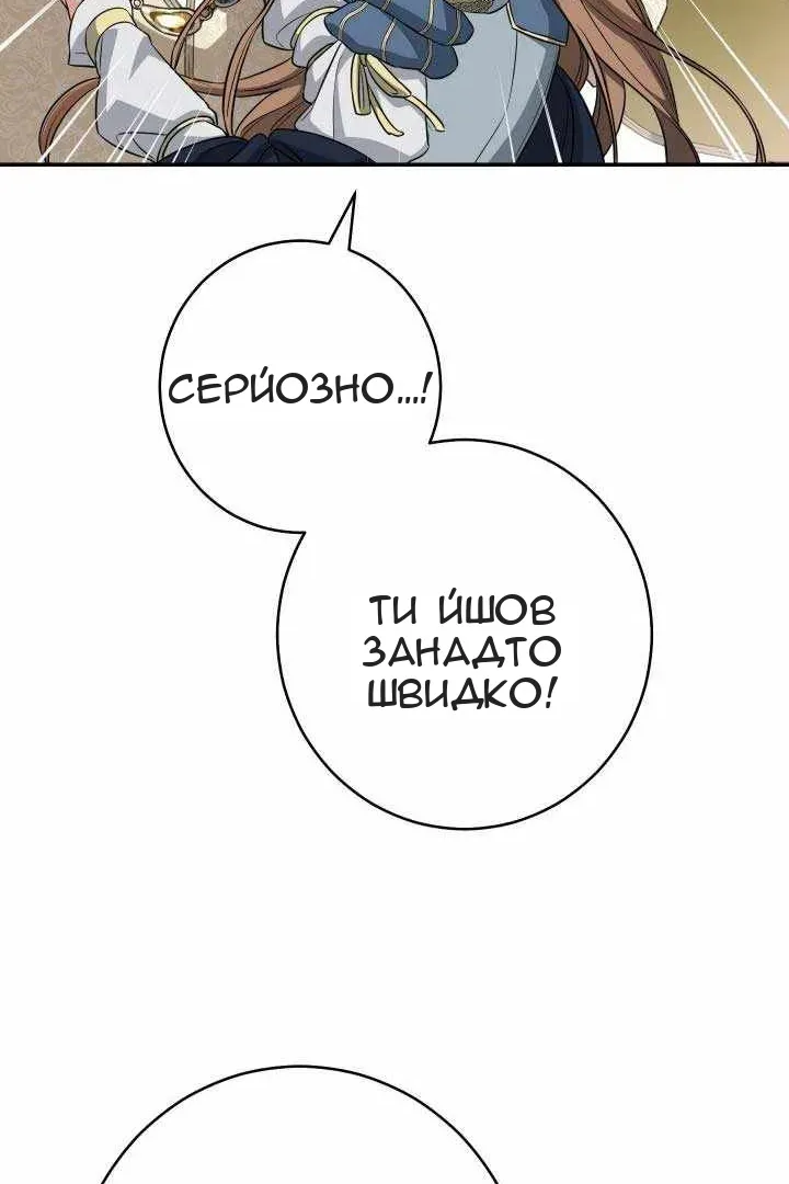 Сторінка 117
