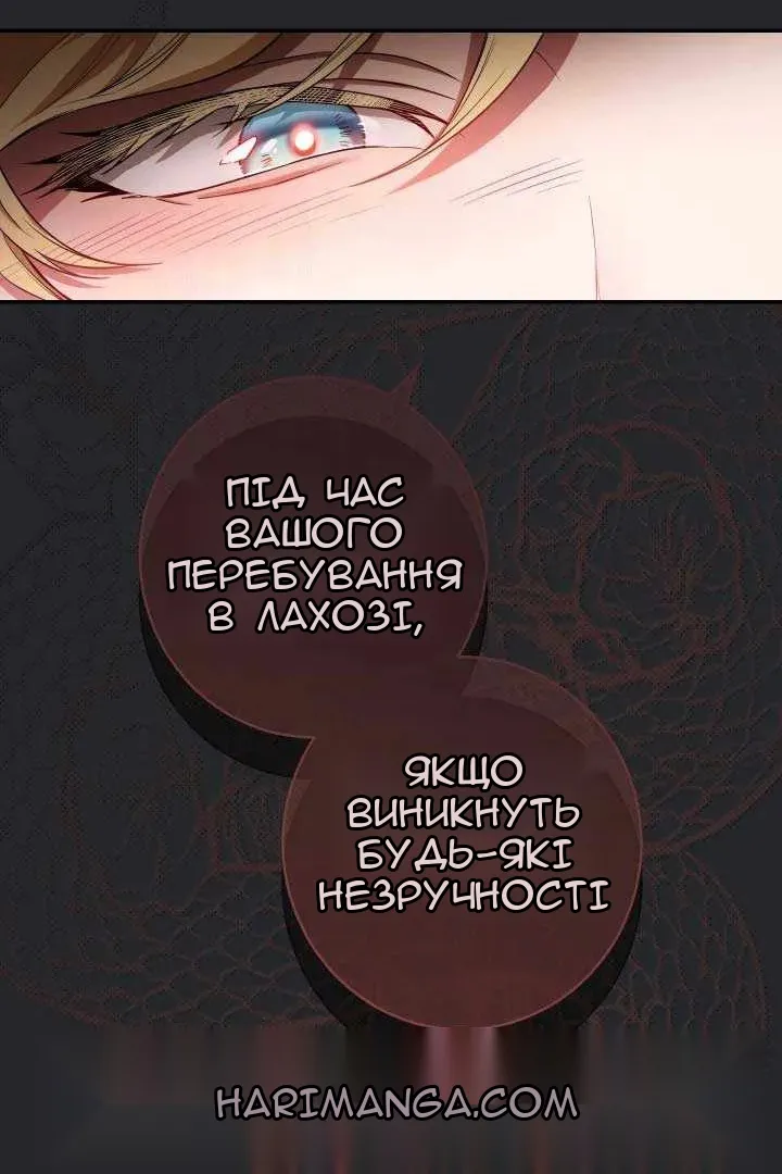 Сторінка 27