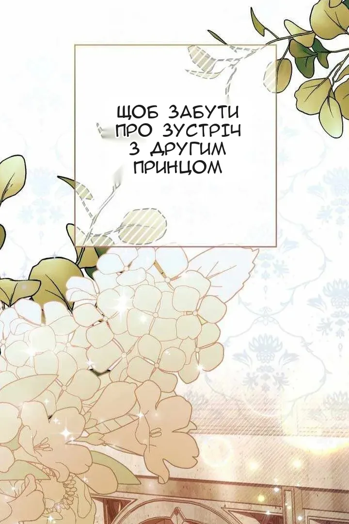 Сторінка 117