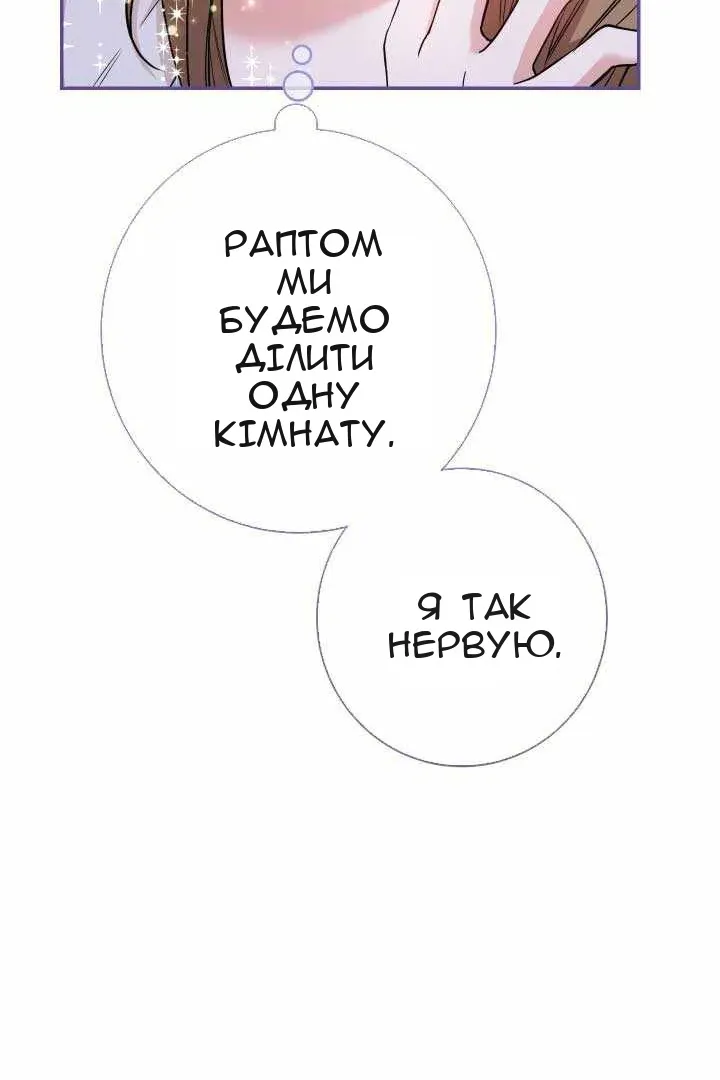 Сторінка 8