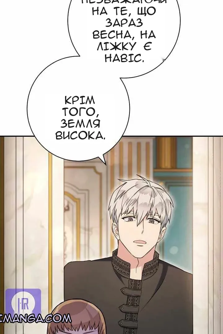 Сторінка 29