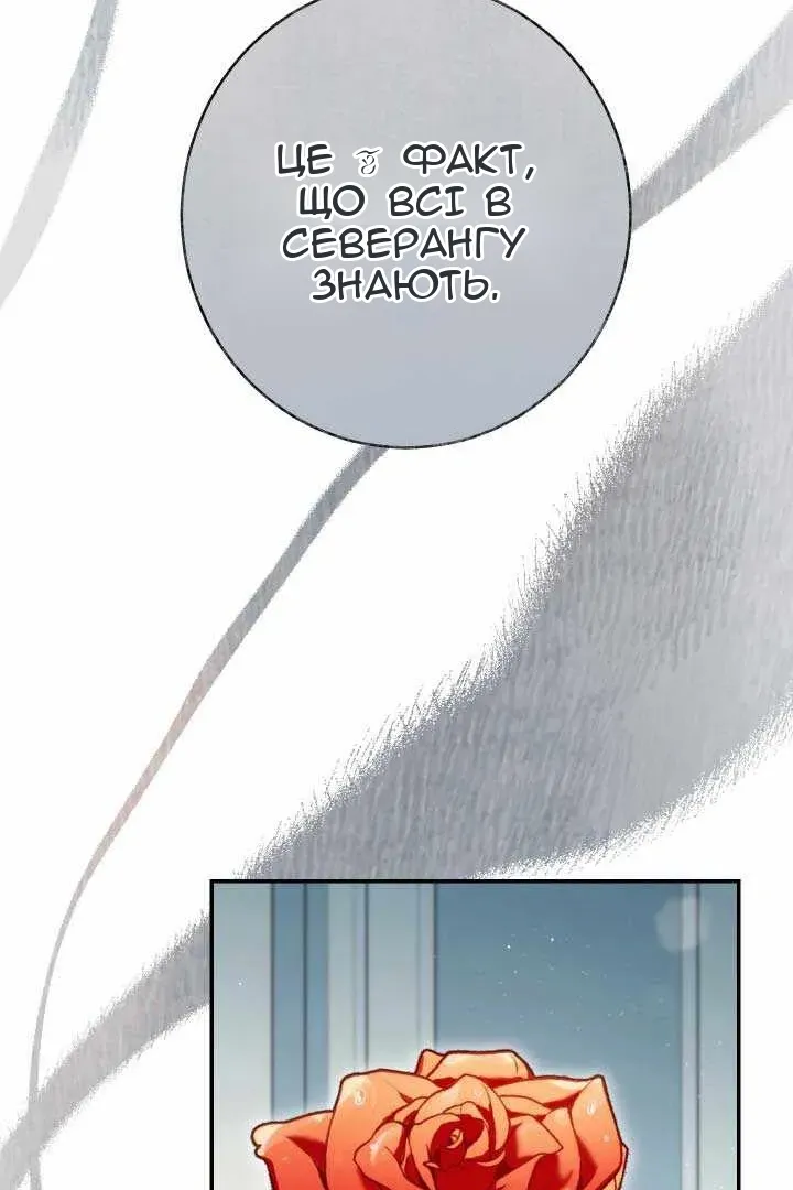 Сторінка 16