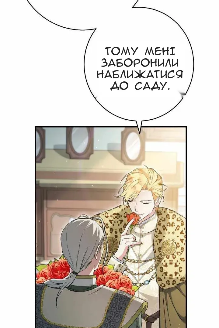 Сторінка 19