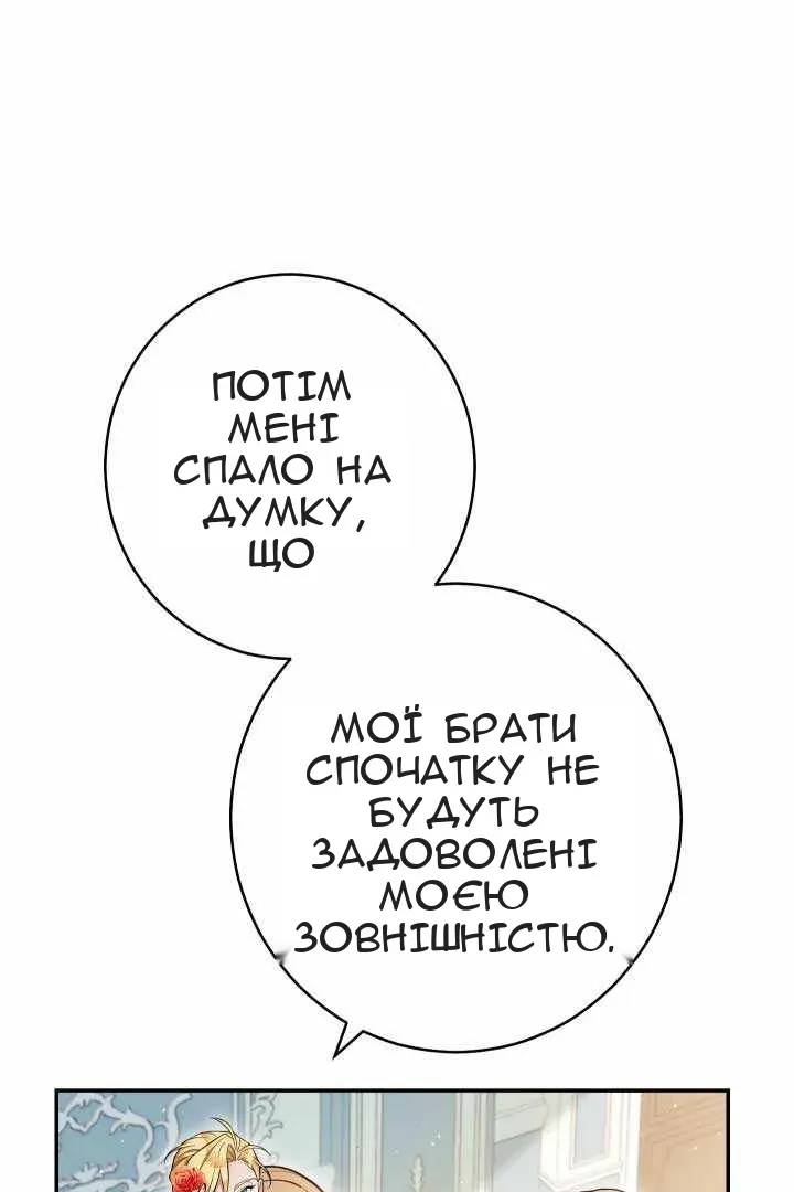 Сторінка 29
