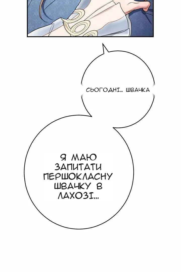 Сторінка 29