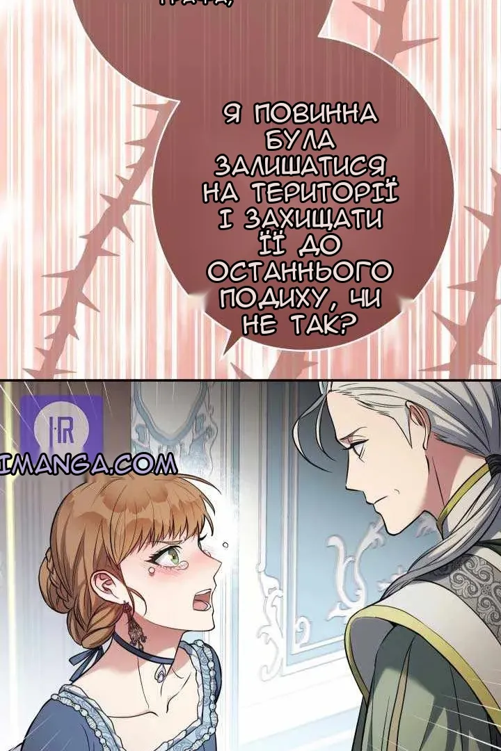 Сторінка 29