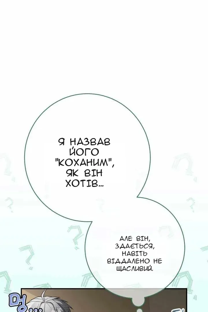 Сторінка 17
