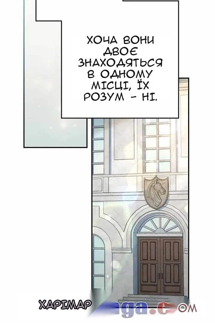 Сторінка 31