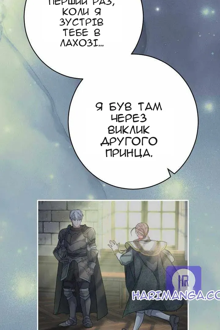 Сторінка 40