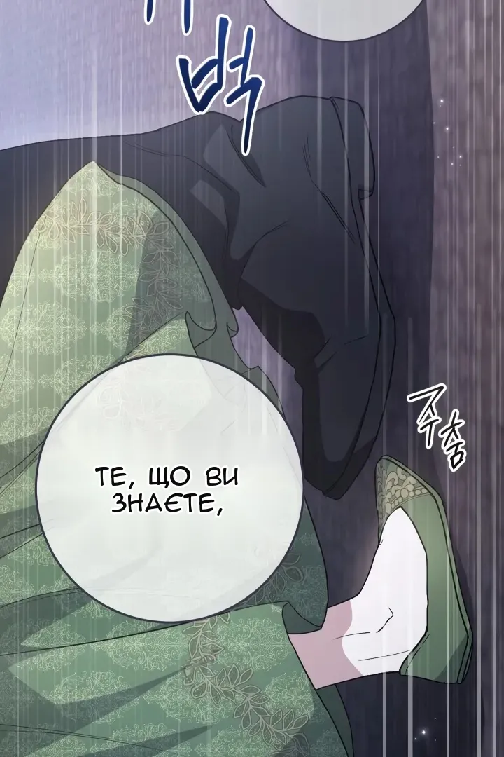 Сторінка 41