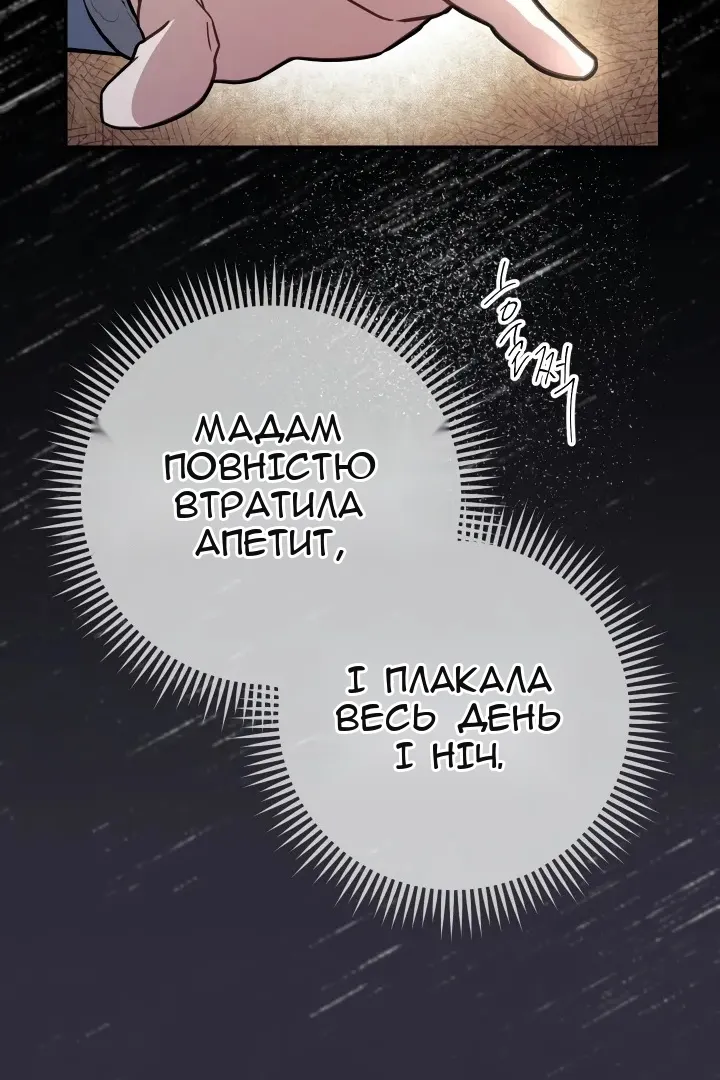 Сторінка 114