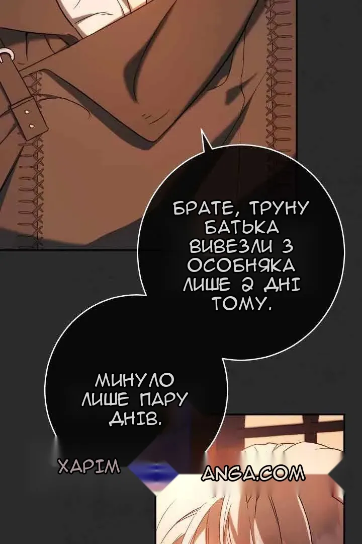 Сторінка 17
