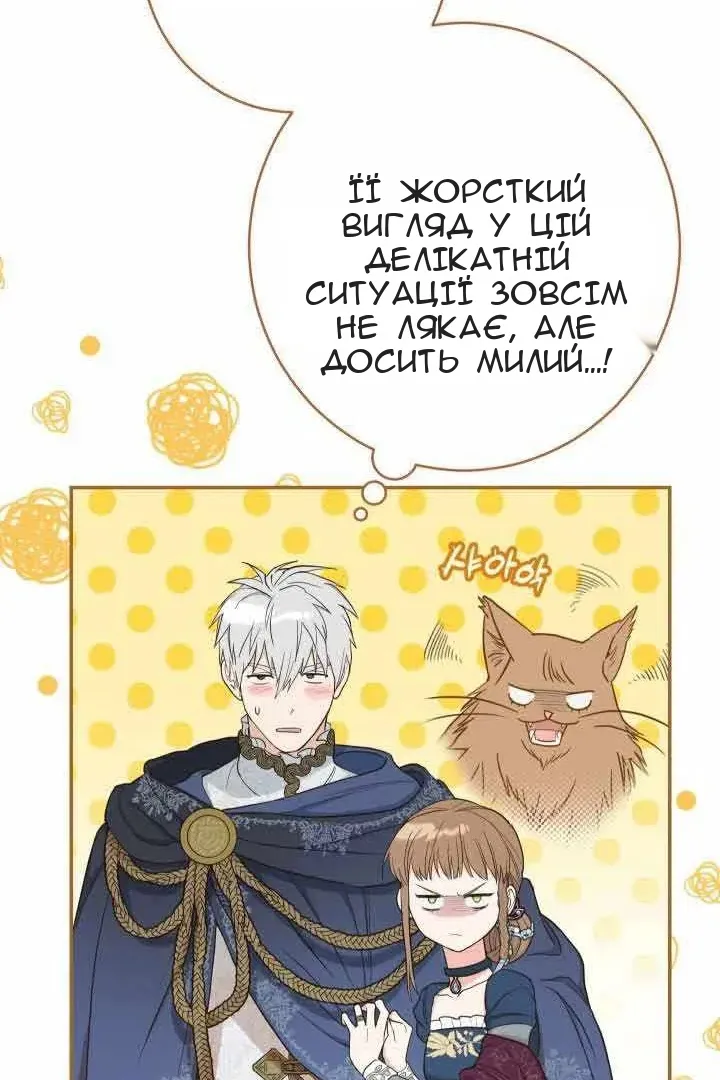 Сторінка 66