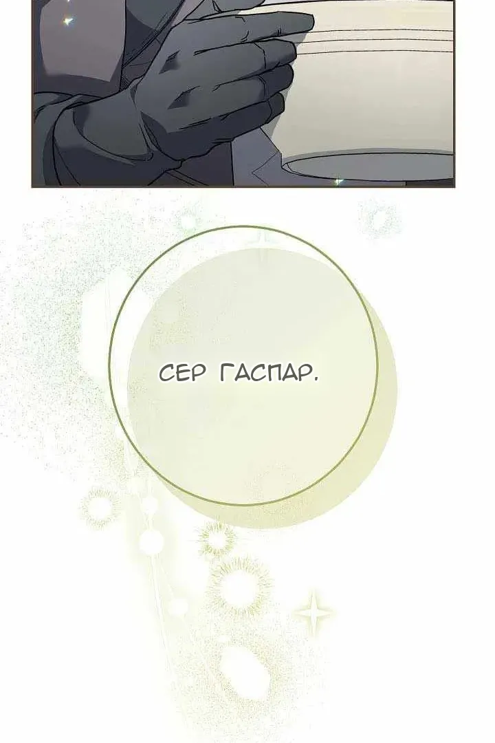 Сторінка 29