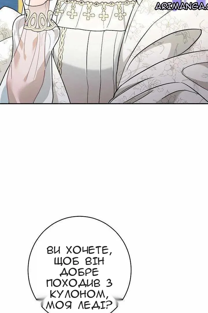 Сторінка 41
