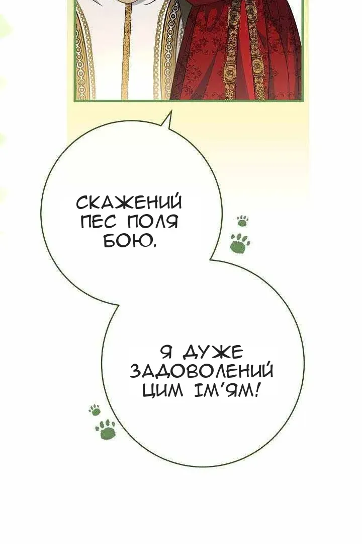 Сторінка 61