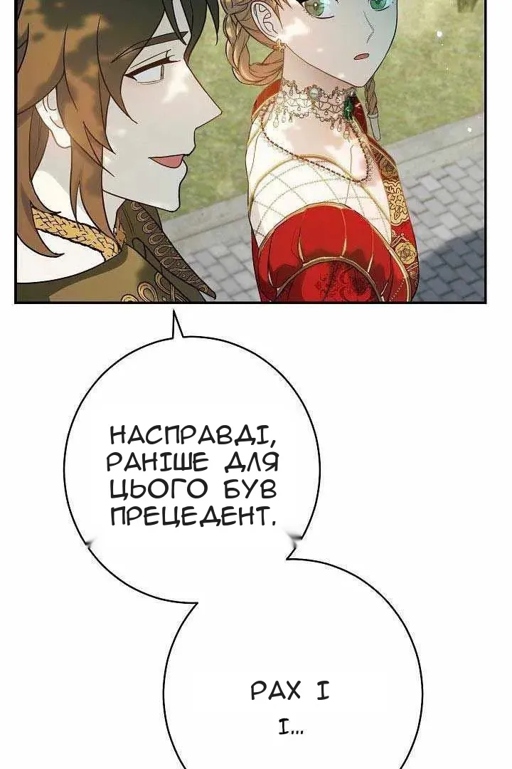 Сторінка 71
