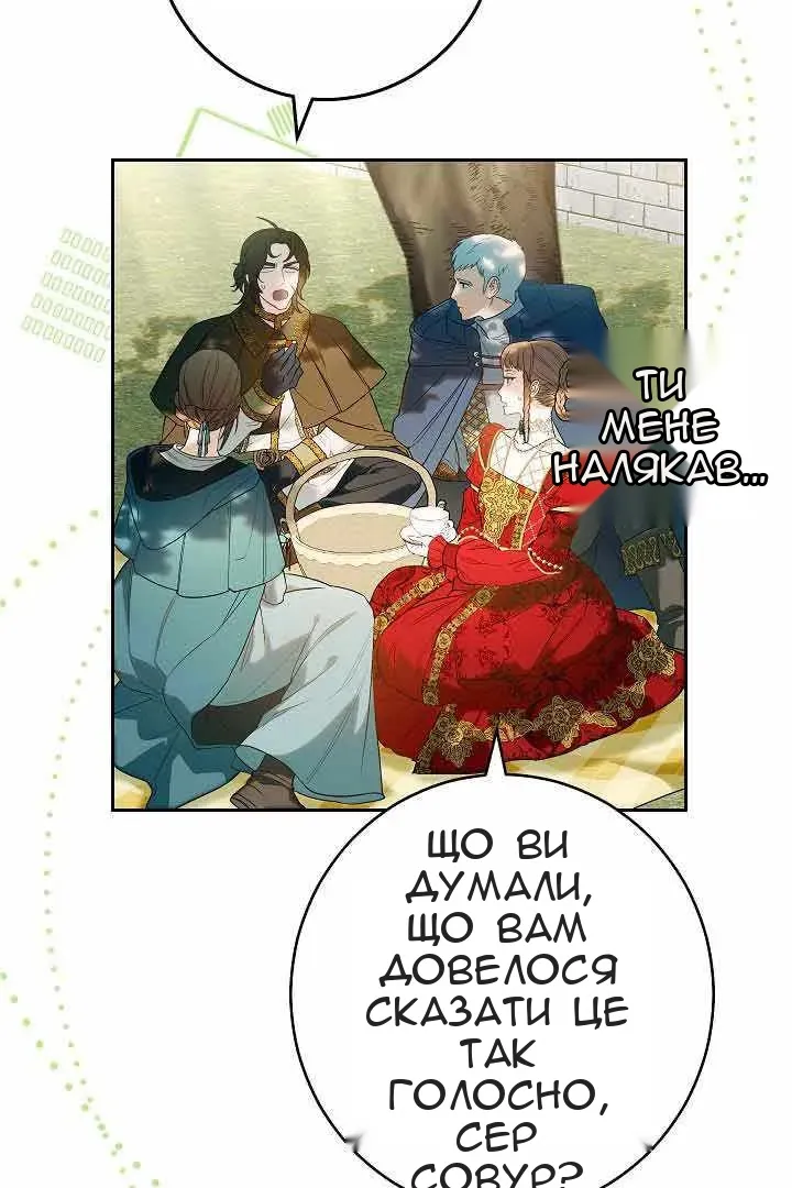 Сторінка 41