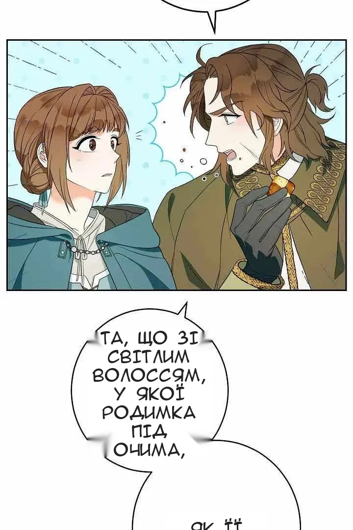 Сторінка 43