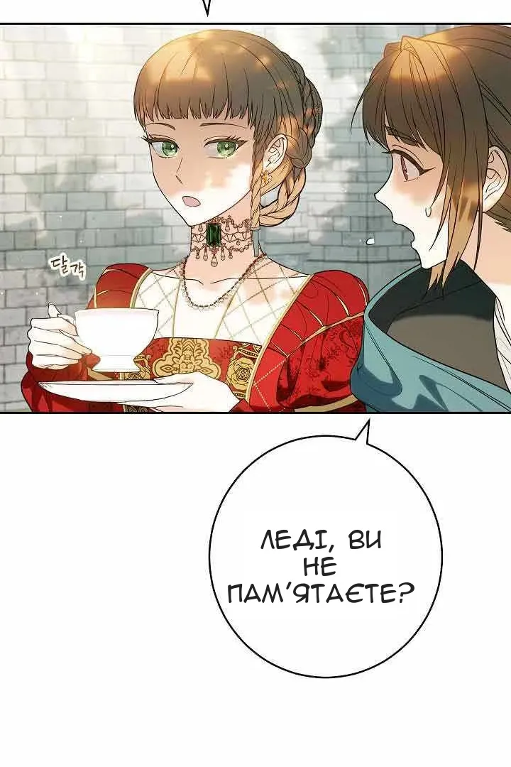 Сторінка 48