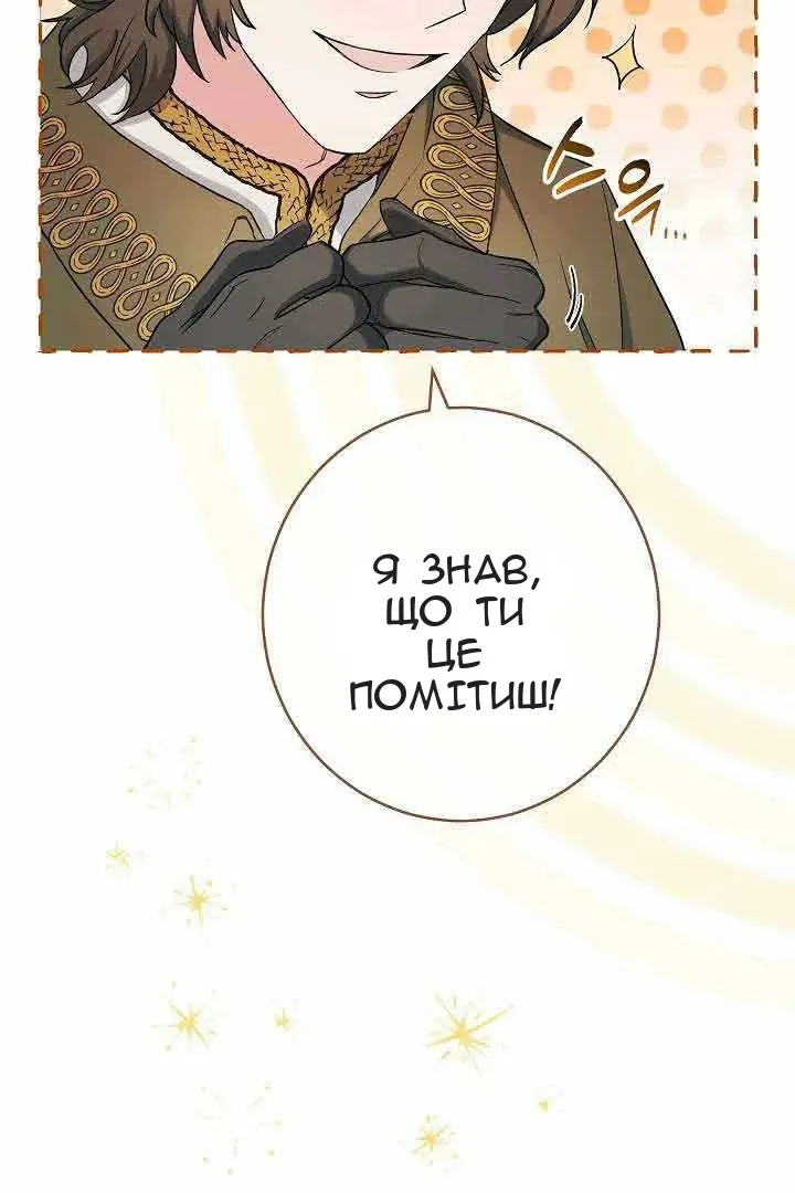 Сторінка 11